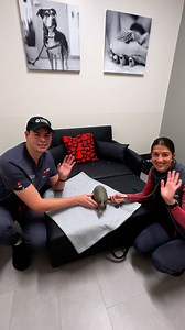 Our 5th animal hospital in Massachusetts is officially OPEN! 🐾 VEG Peabody is here for any and all pet emergencies- 24/7, no appointment needed. Whether your furry friend had too much fun at Salem Willows Park or something just feels off, we’re always ready to help. And the best part? You stay with your pet every step of the way. 📍 1 Sylvan Street, Suite A, Peabody, MA 01960 📲 (978) 248-8186 https://bit.ly/3IvD6A0 | VEG ER for Pets