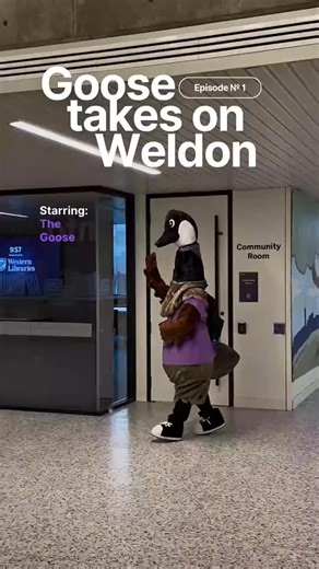 Western Libraries on Instagram: "Be like the goose. Eat healthy. 🥗 Meditate. 🧘 Stretch. 🙆 And take breaks. 🧖 Wishing you all the best this exam season from @westernulibs and @westernusc For more exam studying tips, click on the 🔗 in our bio or visit www.lib.uwo.ca/exams/index.html #WesternU"