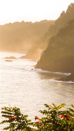 Food is an essential part of Oʻahu's culture. 酪 When visiting, we...