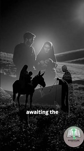Anna’s Faithful Watch: Reflections on Luke 2 :36‑40