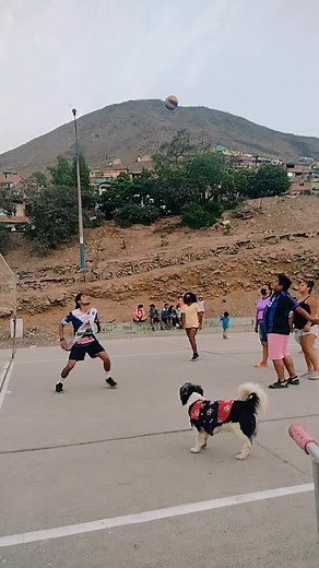 Videos de Maritza luna chavez (@maritzaestherluna8) con “sonido original - Miguel Ángel ⚽💪🏾🎮🇧🇷🇧🇴”