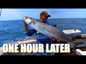 Kingfish Fishing for Snapper and Grouper in Key West Florida