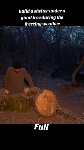 Build a shelter under a giant tree during the freezing weather | building a shelter in the cold