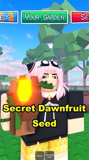 How to get Secret DAWNFRUIT Seed #roblox #gardenhorizons #growagarden