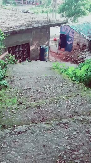 Exploring a Rustic Pathway in a Tropical Setting