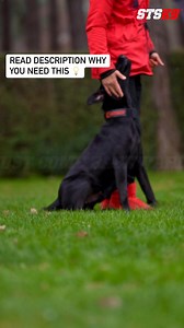 All dogs can move forward, but it can be challenging to keep same pace. (Read: not pull) Here is how you you can teach a dog to sync and align more:👉 By doing opposite motions, trained with rewards, your dog will start to use your legs and pace as a reference to synchronize with! Once they can sync, you can choose to reward randomly forward and backwards leading to a complete new communication and no pulling. Your dog will CHOOSE to adapt to your pace ❤️Share this reel as a reference to whoever