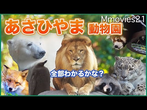 Beautiful autumn leaves and animals Asahiyama Zoo 2021