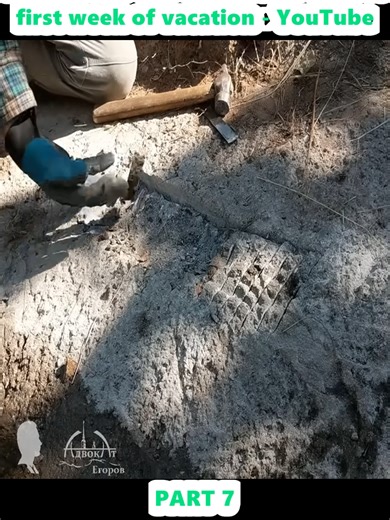 Hut Construction in the Wild Forest: 2018 Expedition