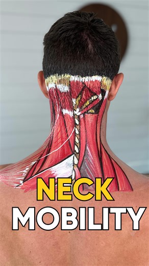 Whealth | Do these look too difficult for your neck? Comment “neck” and we will send you a gentle neck mobility series that is designed for people... | Instagram