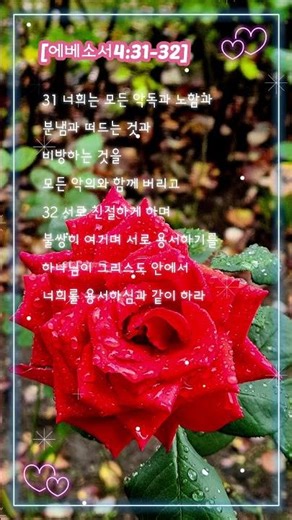 에베소서 4장 31절-32절 말씀 #koreanbible #hangeulshorts #hangeulbible