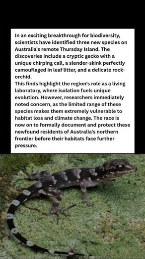 Hidden World: 3 New Species Found in Australia! #wildlife #facts #shorts