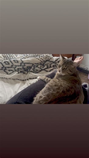 He's playing hard to get, but I'm not the type to back away from a challenge. | Steve Jenkins