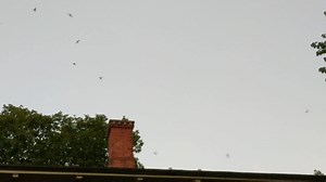 15K views · 16 shares | Crazy week at a haunted location. Made some friends. | Nick Groff | Facebook