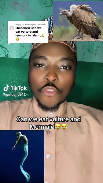 Eating Vulture and Mermaid: A Humorous Debate