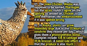 25 Interesting Facts about Alaska - Part 2 - Fact Republic