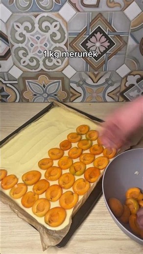 Meruňkový koláč-recept