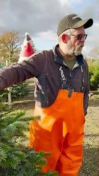 Difference in our trees