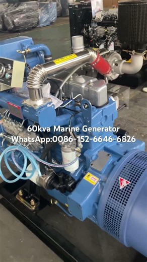 60kva Ricardo marine diesel generator #dieselgenerator #marinegenerator#generator #ricardogenerator