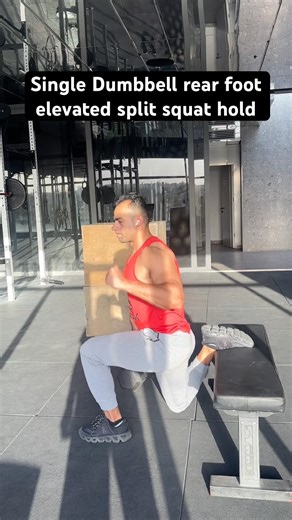 Single Dumbbell rear foot elevated split squat hold