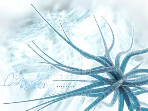 The invisible man - You dont know