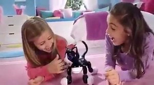 4.1K views · 28 reactions | Bring home your PURRfect friend with Zoomer Kitty! She's the sweetest interactive Kitty who loves to play, pounce and purr! Using True Vision Technology, she follows your movements. Kitty sings, dances, and performs secret tricks! #SpinMaster #Zoomer #Kitty | Toy Buzz | Facebook