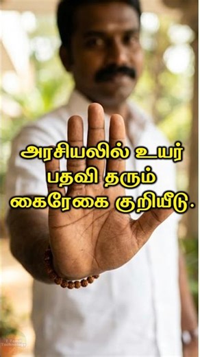 அரசியலில் உயர் பதவி தரும் கைரேகை குறியீடு #palmistry #astrology #zodiac #palmreading #sunline