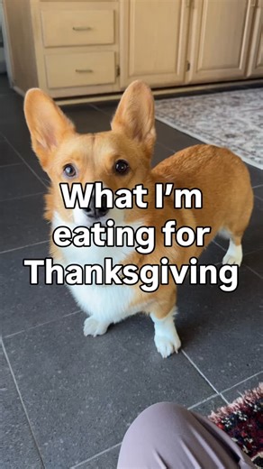 Beans on Instagram: "Don’t forget the greenBEAN casserole #thanksgiving #corgi #turkey"