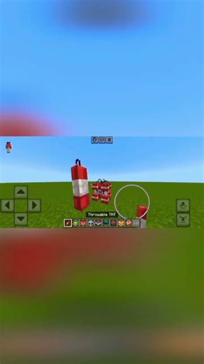 1000 tnt Vs Me 🥲 #mrbeastchallenges #minecraft