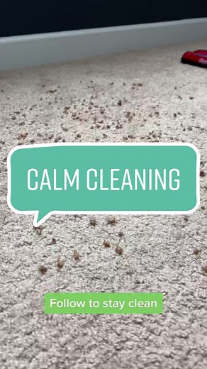 Dirt Devil Vacuums on TikTok