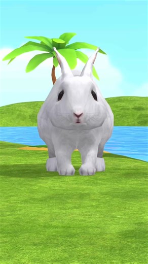 Cute Animal Cartoons for Kids