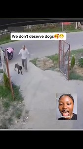 Dogs can show love and emotion 🥰🥺 #reels #viral #pets #fyp | Jenny's life