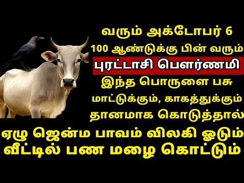 வரும் Oct-6 புரட்டாசி பௌர்ணமி பசு மாட்டுக்கு காகத்துக்கு தானம்! Purattasi Pournami 2025