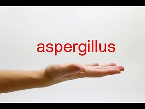 How to Pronounce aspergillus - American English
