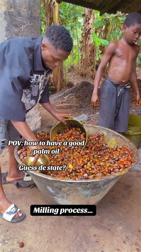 How to produce palm oil