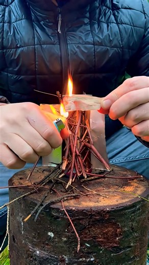 1.2K views | ✅Primitive Stove Made From an Aluminum Can #survival#bushcraft#camping#lifehacks#outdoors | Mr.Galvez | Facebook