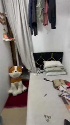 67K views · 205 reactions | Normal Partition with 4 door cabinet inside the wall...If any one want please Contact me in my WhatsApp number 056 656 8999 ASAP. | Partitions, Al Barsha 1, Next to MOE | Facebook