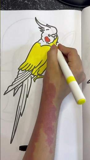 Parrot 🦜Have fun coloring! 🎨