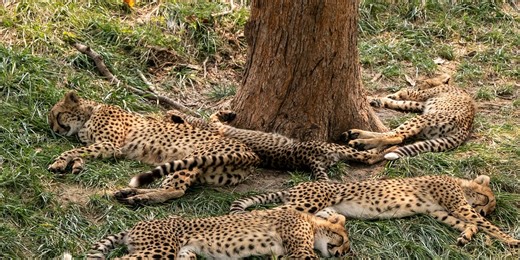 Is there a better head position for sleeping (and clearing out junk)?
