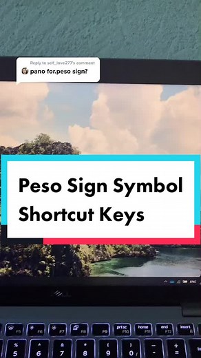 How to Insert Peso Sign Symbol in Canva and Excel