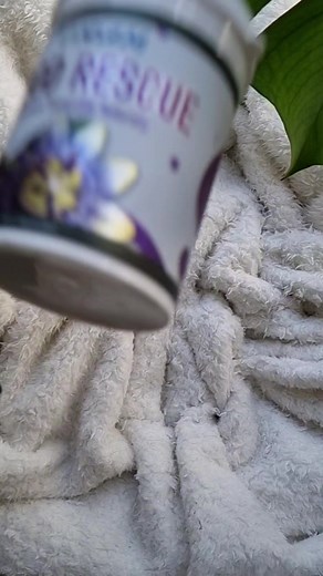 Creative Video Ideas for Content Creators in South Africa