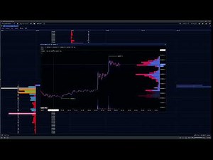Navigating Market Monkey Terminal Part 1