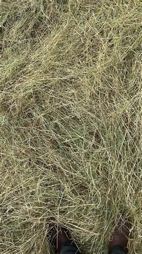 Hay Baler Operation in Agricultural Fields