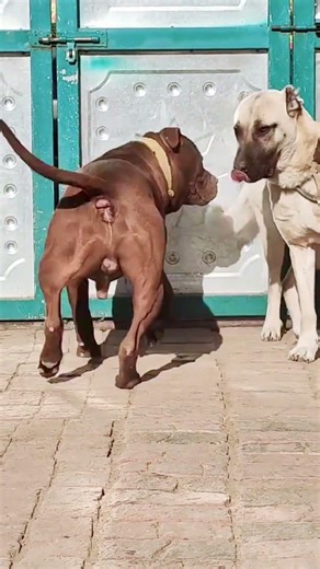 I'm strong if you let me know the taste#@ 22