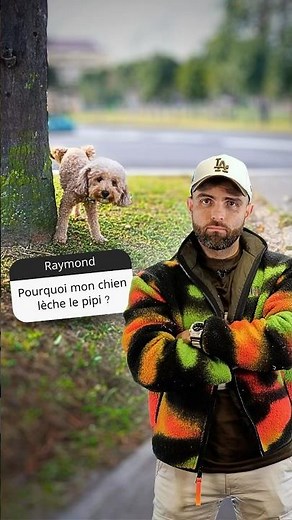 Pourquoi mon chien lèche le pipi ?