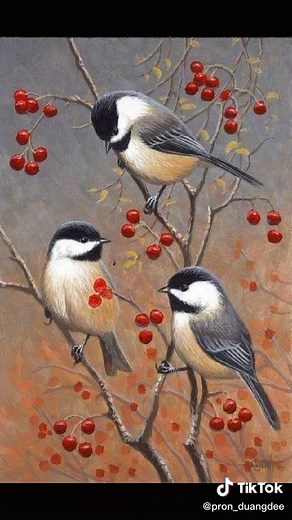 Beautiful Birds in Nature: A Visual Journey