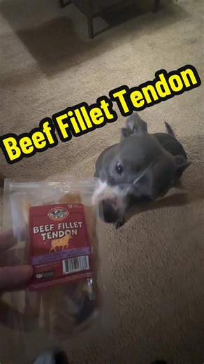 Is your dog craving a tough chew that's as safe as it is satisfying? Made from 100% natural beef tendon, these protein-packed chews satisfy every pup's need. Their unique texture helps clean teeth and satisfy sensitive stomachs, while a single-ingredient formula ensures pure, hypoallergenic goodness. Every chew meets USDA safety standards for ultimate peace of mind. Give your furry friend the wholesome crunch they deserve. Tap now to stock up on these 12 healthy chews! #fyf #dogsoftiktok #dogtre