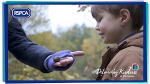 Watch the film that people are describing as the best Christmas advert of 2018! Featuring our rescued animals and amazing staff members, the video was created by our talented in-house Broadcast team. Find out more about the video and #KindnessAtChristmas campaign here: http://bit.ly/2KIVAKN | RSPCA (England & Wales)