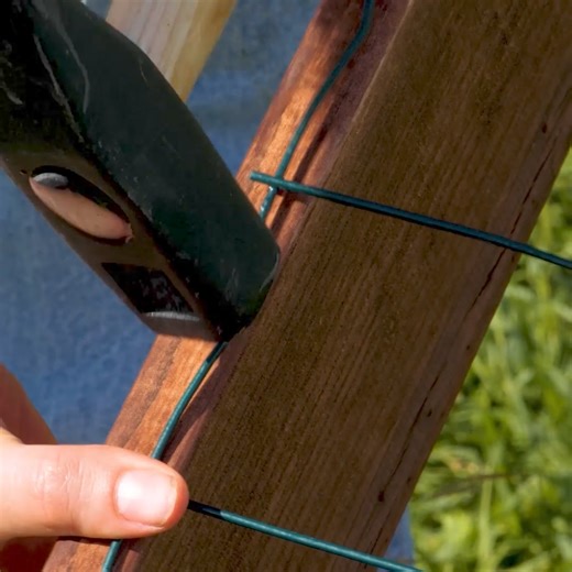 201K views · 169 reactions | Pet Care With These Crafts | Earth Wonders | Facebook