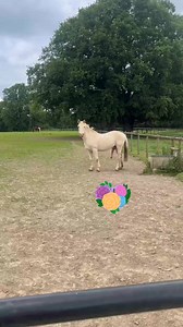 animal breeding on Reels