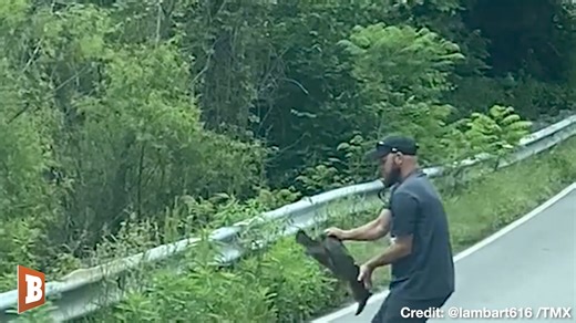 802K views · 4.7K reactions | A man in Crossville, Tennessee, considerately gave a turtle a lift across the road, but the turtle did not seem happy about being lifted up as the creature made many attempts to bite the man. | Breitbart | Facebook